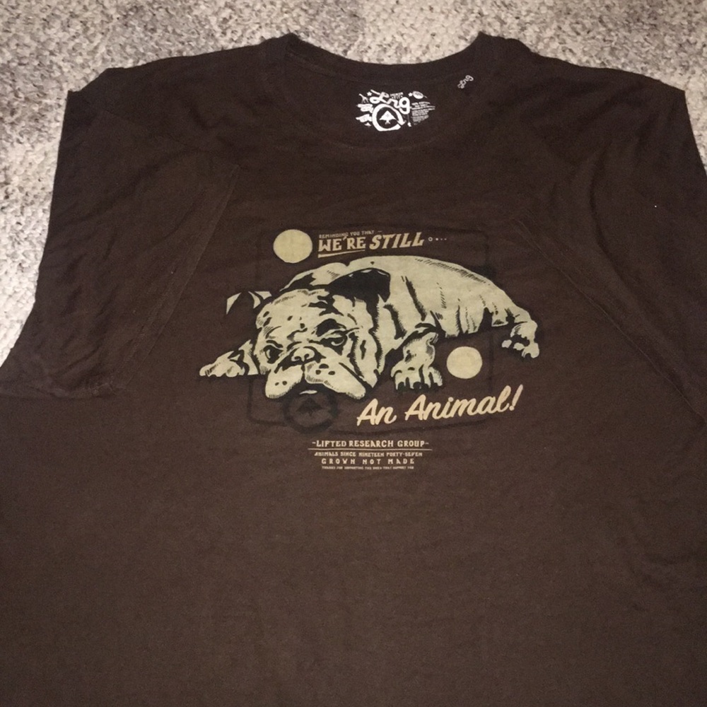 Size 4X Brown LRG short sleeve shirt